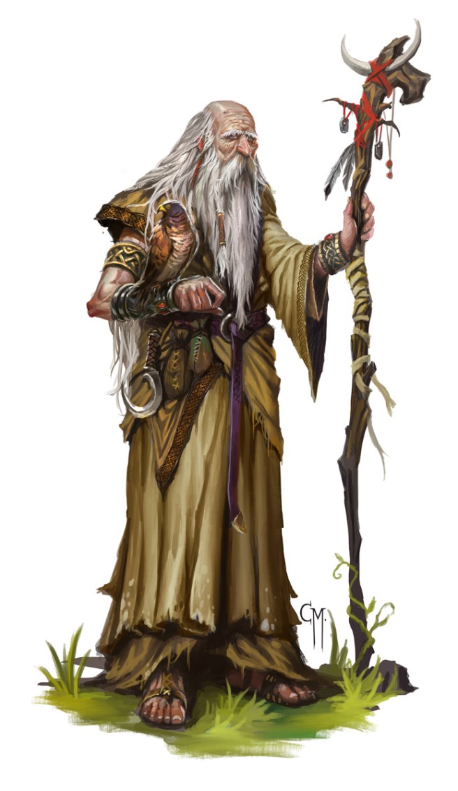 elder_druid_by_caiomm-d7ar12n