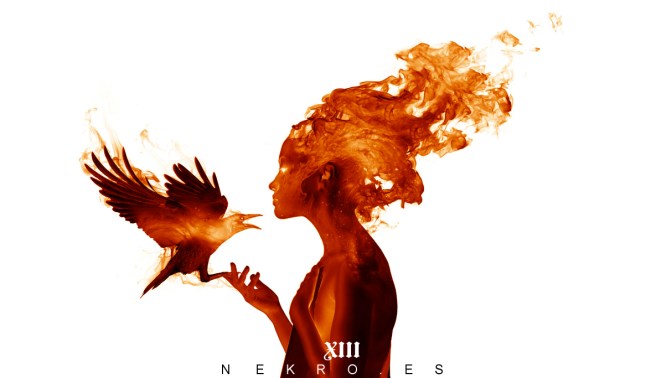 tumblr_n5tm13yc1w1txx45do1_1280